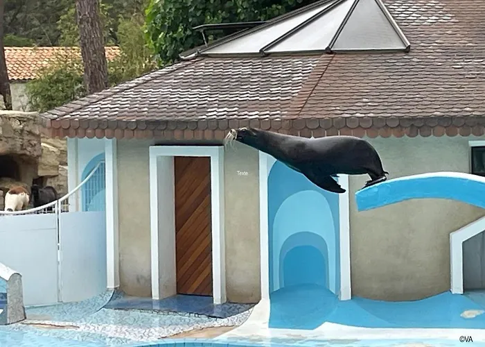 Modern And Cosy Ecolodge, Shared Heated Pool, 4* Les Mathes